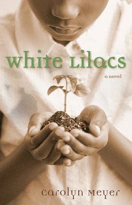 Carolyn Meyer - White Lilacs, Häftad
