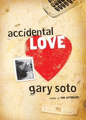 Accidental Love 1