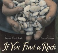 bokomslag If You Find A Rock