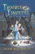 bokomslag Trouble at Timpetill