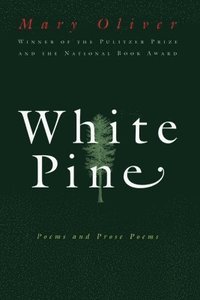 bokomslag White Pine