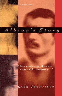 bokomslag Albion's Story