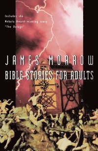 bokomslag Bible Stories for Adults