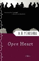 bokomslag Open Heart