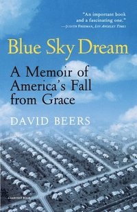 bokomslag Blue Sky Dream: A Memoir of American (Ameri)Ca's Fall from Grace