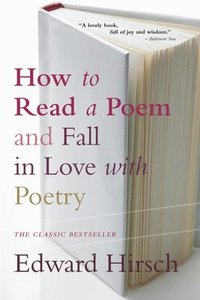 bokomslag How to Read a Poem