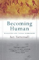 bokomslag Becoming Human: Evolution and Human Uniqueness