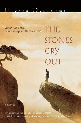 bokomslag Stones Cry Out