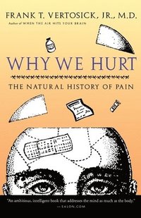bokomslag Why We Hurt: The Natural History of Pain