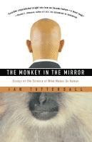 Ian Tattersall - Monkey in the Mirror, Häftad