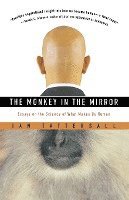 The Monkey in the Mirror 1