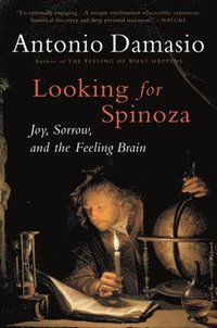 bokomslag Looking for Spinoza