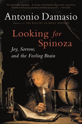 bokomslag Looking for Spinoza: Joy, Sorrow, and the Feeling Brain