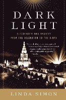 Linda Simon - Dark Light: Electricity and Anxiety from the Telegraph to the X-Ray, Häftad