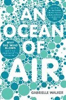 bokomslag An Ocean of Air: Why the Wind Blows and Other Mysteries of the Atmosphere