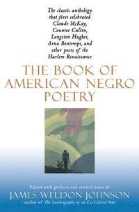 bokomslag Book of American Negro Poetry