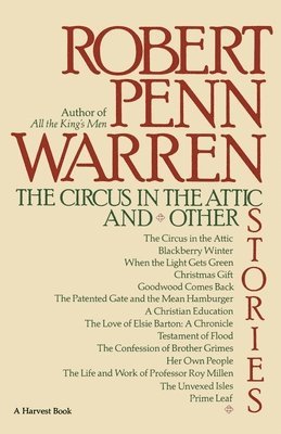 bokomslag Circus in the Attic and Other Stories