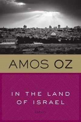 bokomslag In the Land of Israel