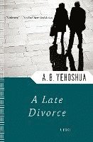 bokomslag A Late Divorce