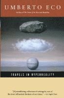 bokomslag Travels in HyperReality