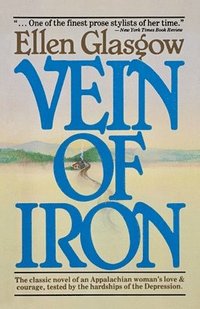 bokomslag Vein of Iron