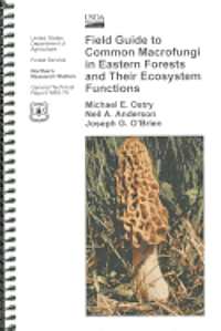 bokomslag Field Guide to Common Macrofungi in Eastern Forests and Their Ecosystem Functions