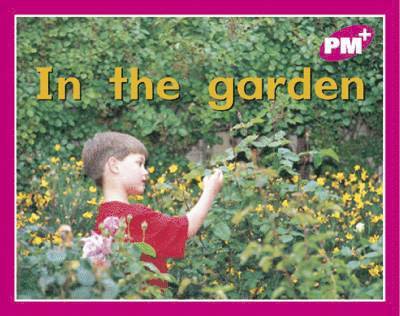 In the garden 1