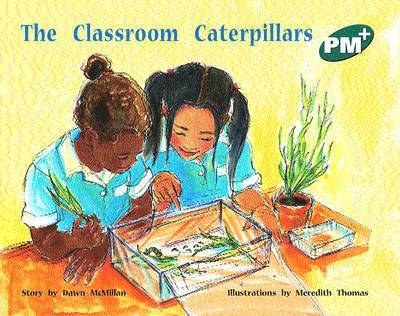 Classroom Caterpillars