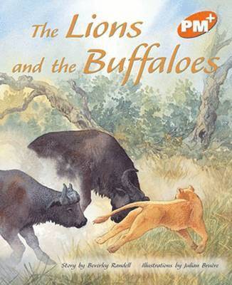 Beverley Randell - Lions and the Buffaloes, Häftad