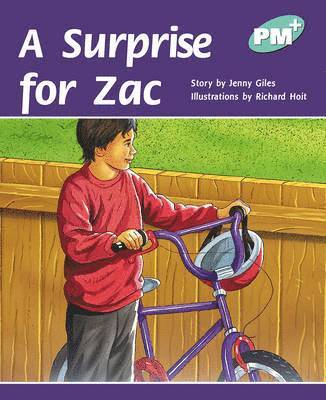 Surprise for Zac