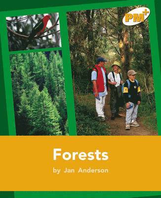Jan Anderson - Forests, Häftad