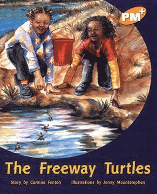Freeway Turtles