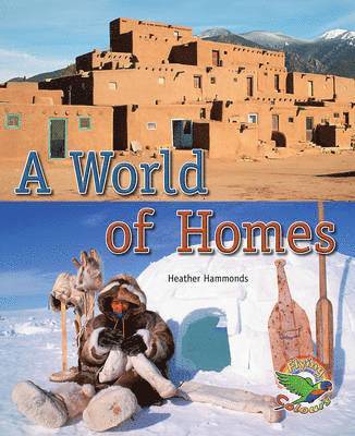 Heather Hammonds - World of Homes, Häftad