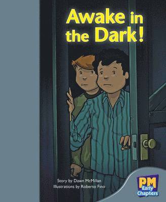 Dawn McMillan - Awake in the Dark!, Häftad