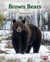 BEVERLEY RANDELL - BROWN BEARS, Häftad