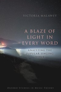 bokomslag Blaze of Light in Every Word