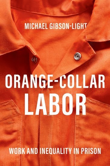 bokomslag Orange-Collar Labor