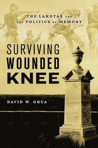 bokomslag Surviving Wounded Knee