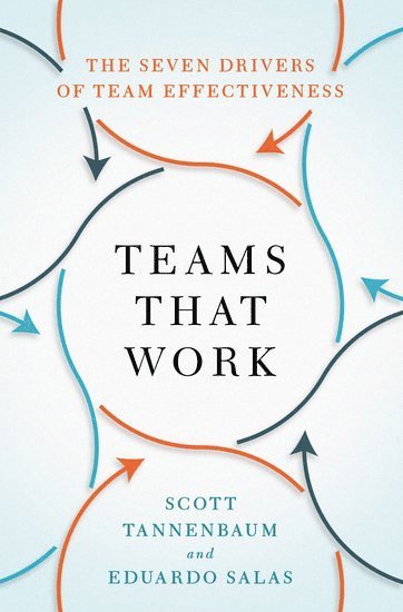 Teams That Work 1