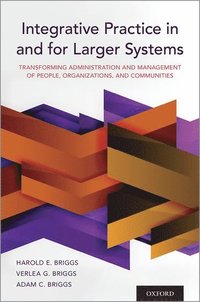 bokomslag Integrative Practice in and for Larger Systems