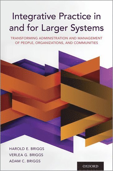 Harold E. Briggs, Verlea G. Briggs, Adam C. Briggs - Integrative Practice in and for Larger Systems, Häftad