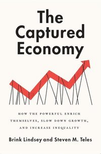 bokomslag The Captured Economy