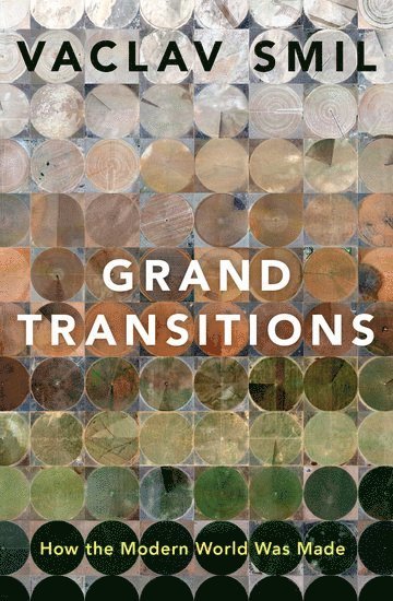 bokomslag Grand Transitions