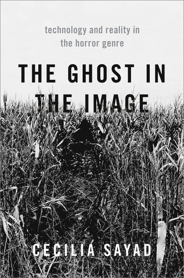 The Ghost in the Image 1