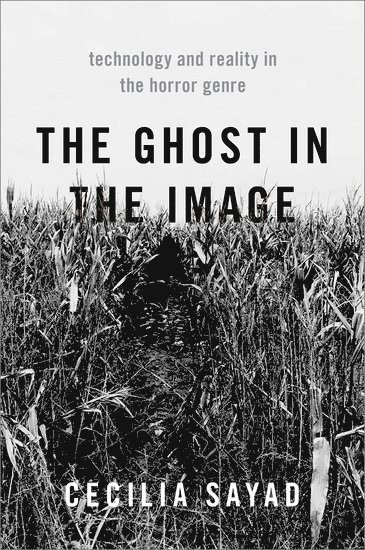 The Ghost in the Image