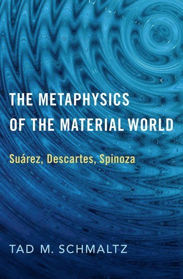 bokomslag Metaphysics of the Material World