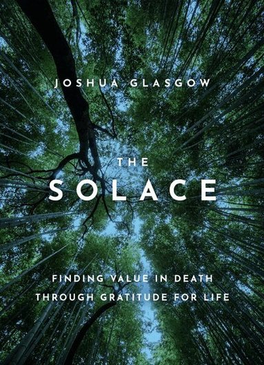 Joshua Glasgow - The Solace, Inbunden