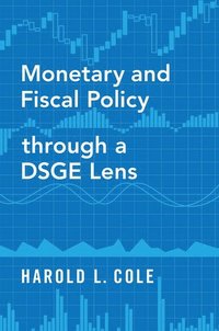 bokomslag Monetary and Fiscal Policy through a DSGE Lens