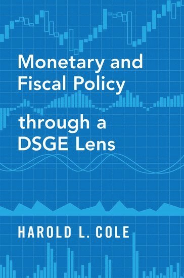 bokomslag Monetary and Fiscal Policy through a DSGE Lens