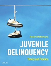 bokomslag Juvenile Delinquency: Theory to Practice